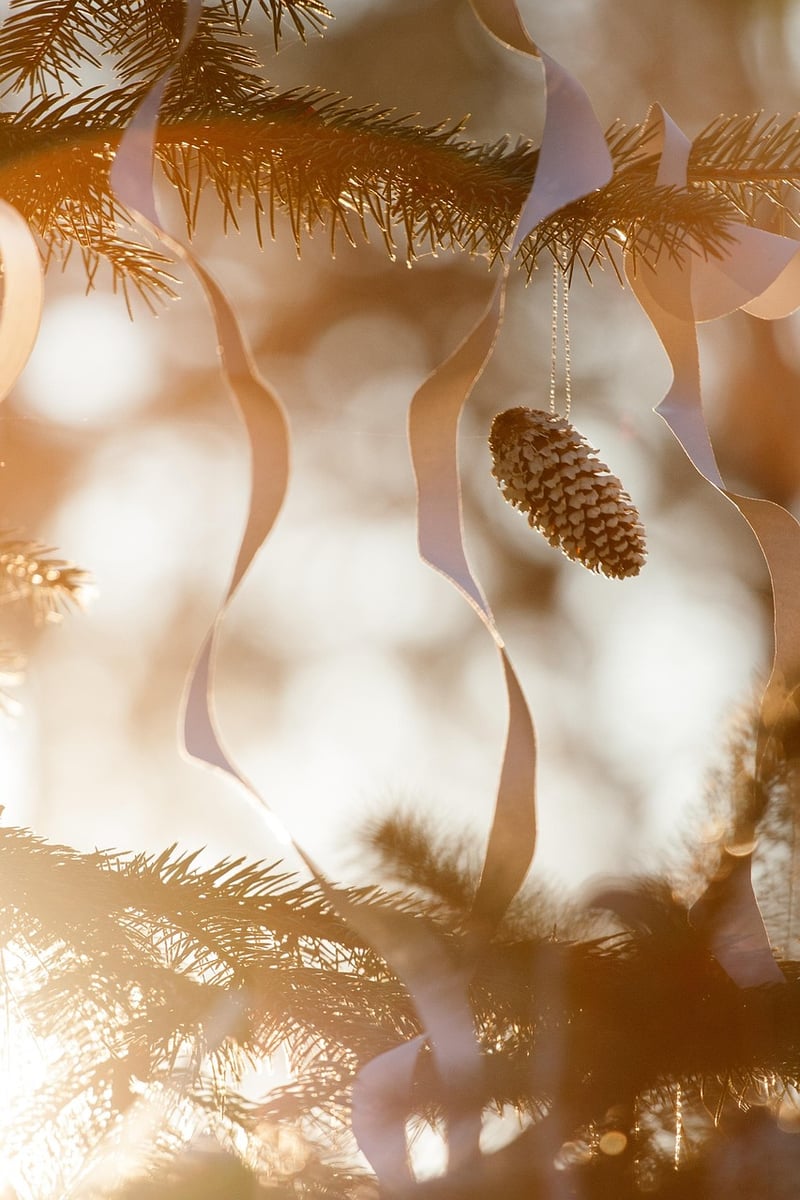 Pinecones for Bowling